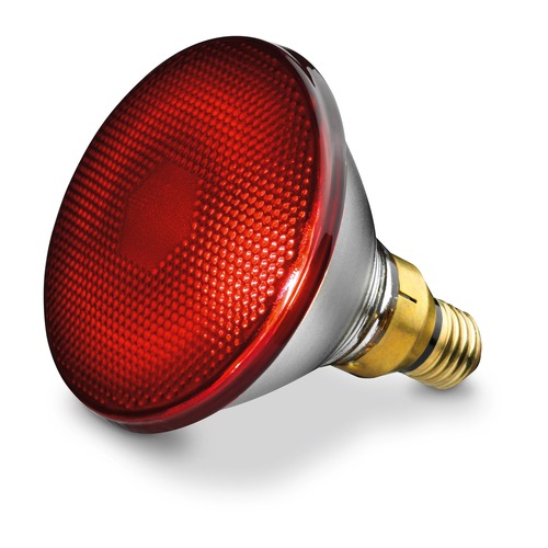 Náhradní žárovka 150W pro infračervenou lampu Beurer IL20, IL21, IL30, IL35 a Sanitas SIL16, SIL25