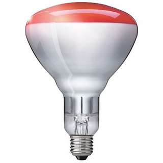 Beurer Náhradní žárovka 100W pro infračervenou lampu Beurer a Sanitas